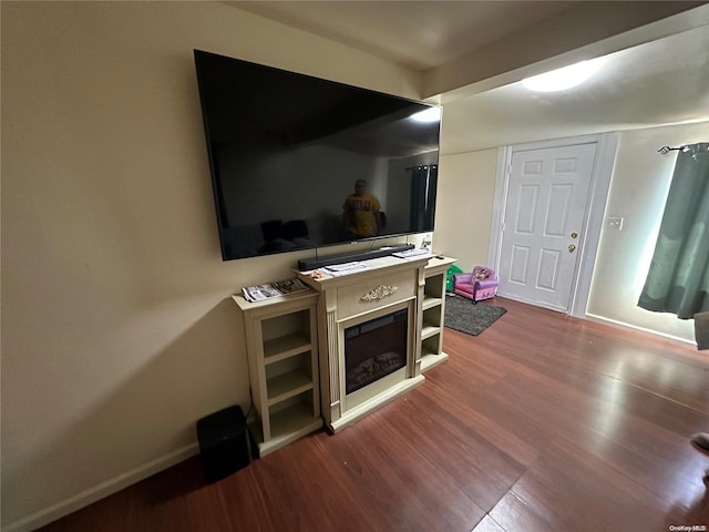 living room with wood-type flooring