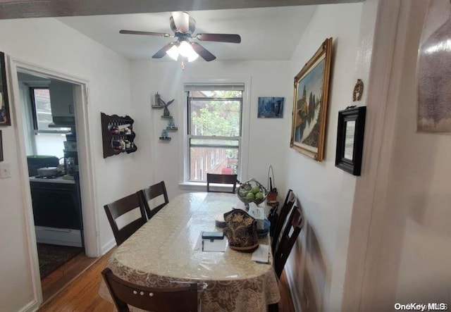 dining room featuring ceiling fan and hardwood / wood-style flooring