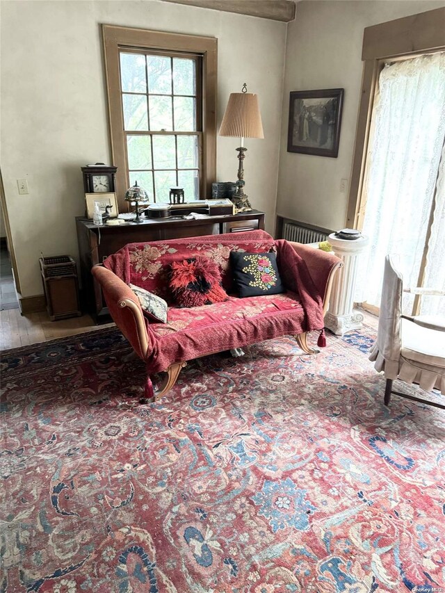 329 Forest Rd, Little Neck, NY 11363 - living room with healthy amount of natural light