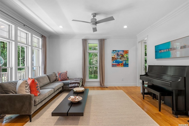 living room featuring ceiling fan, light wood-type flooring, and crown molding