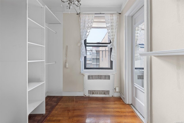 spacious closet featuring a notable chandelier, dark hardwood / wood-style floors, and radiator heating unit