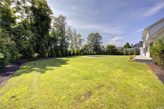 151 Newtown Ln, East Hampton, NY 11937 - view of green lawn