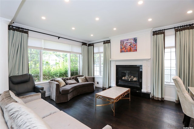 living room with dark hardwood / wood-style flooring and crown molding