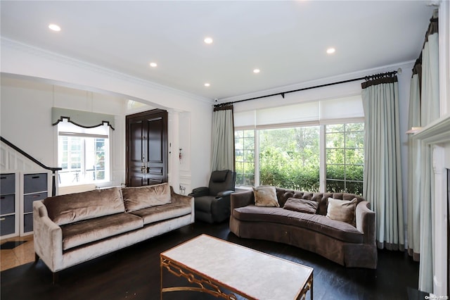 living room featuring dark hardwood / wood-style floors and ornamental molding