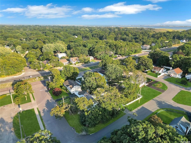 bird's eye view