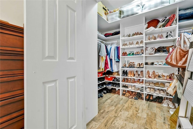 walk in closet featuring light hardwood / wood-style floors