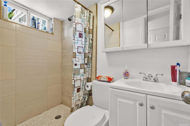 bathroom featuring toilet, vanity, and walk in shower