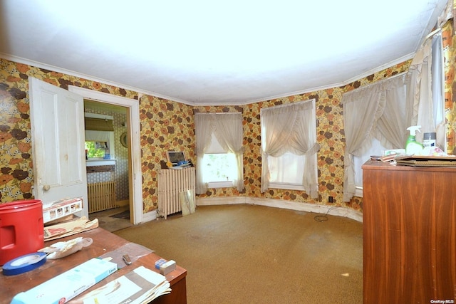 unfurnished office featuring radiator, crown molding, and carpet