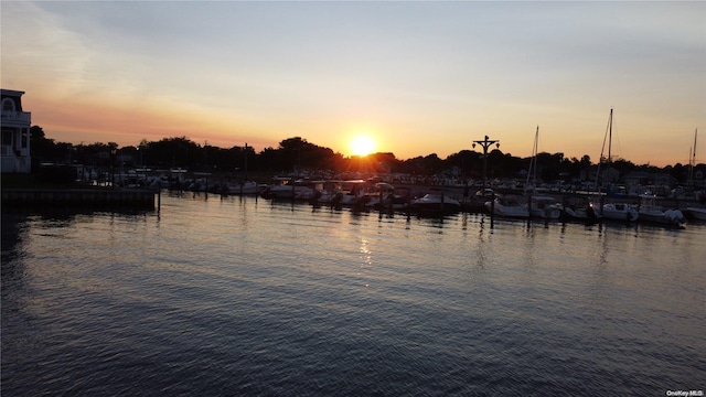 property view of water featuring a boat dock