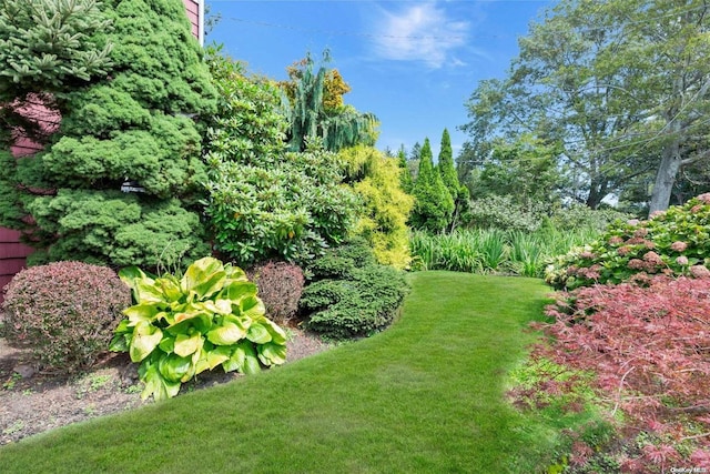 15405 Main Rd, Mattituck, NY 11952 - view of green lawn