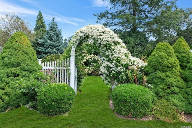 15405 Main Rd, Mattituck, NY 11952 - view of yard