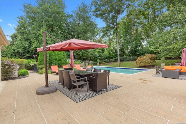 view of swimming pool with a patio area