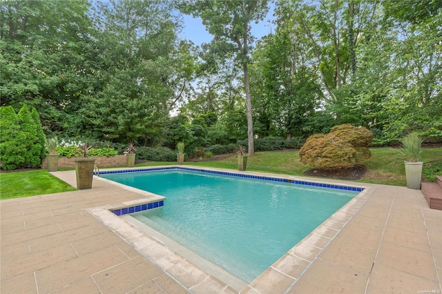 view of swimming pool with a patio area