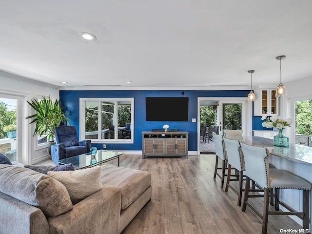 living room with crown molding, plenty of natural light, and hardwood / wood-style floors