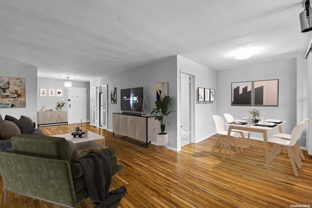 living room with hardwood / wood-style floors