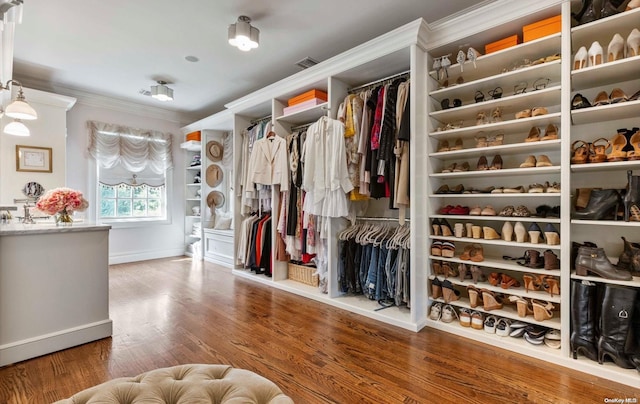 walk in closet featuring wood-type flooring