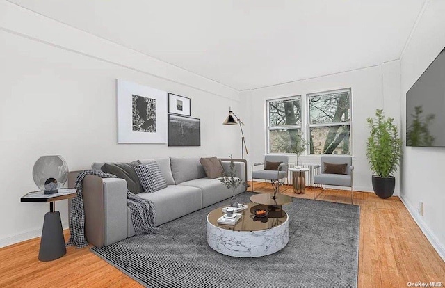 living room featuring hardwood / wood-style floors