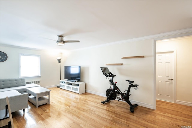 living room featuring crown molding, ceiling fan, and light wood-type flooring