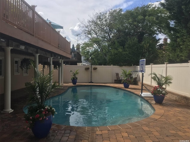 view of swimming pool featuring a patio