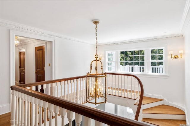 corridor with hardwood / wood-style flooring and ornamental molding