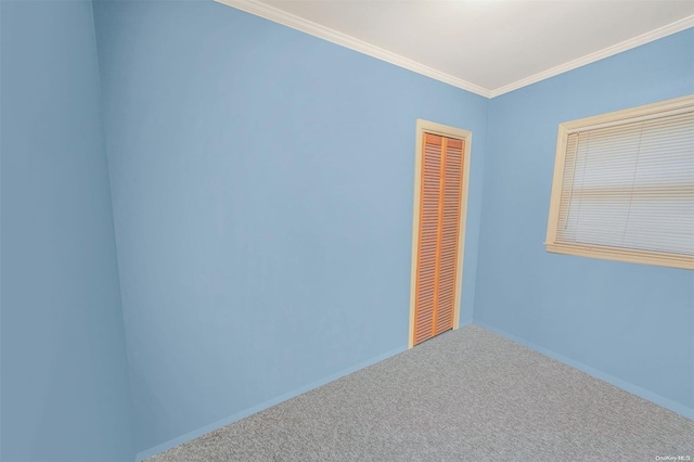 unfurnished room with carpet and ornamental molding