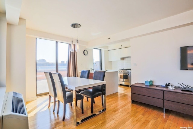 dining space featuring a water view, light hardwood / wood-style flooring, and sink