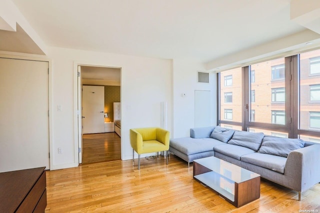 living room featuring light hardwood / wood-style flooring