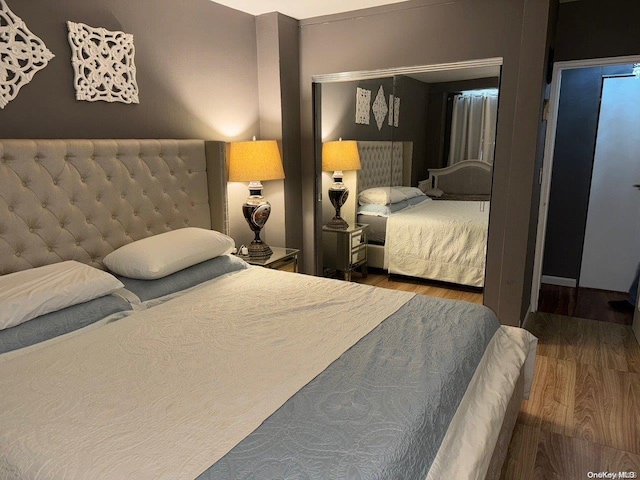 bedroom with a closet and wood-type flooring