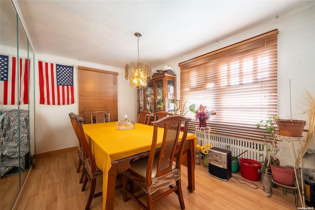 dining room with a chandelier, light wood-type flooring, and radiator