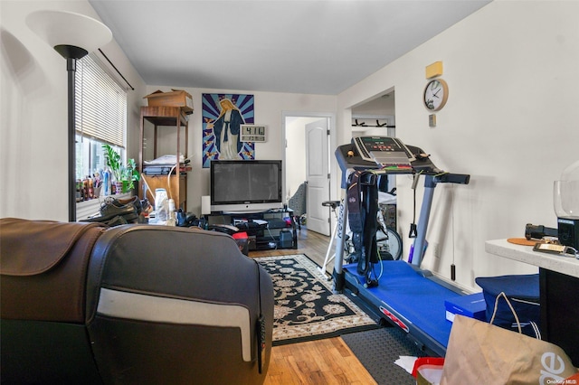 workout area featuring wood-type flooring