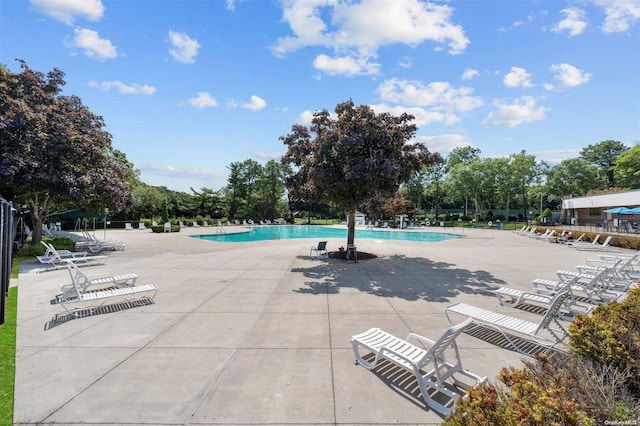 view of swimming pool with a patio