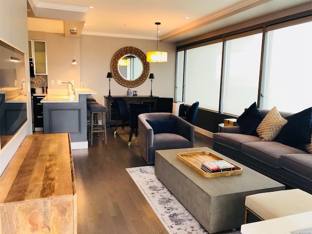 living room with crown molding, sink, and dark hardwood / wood-style floors