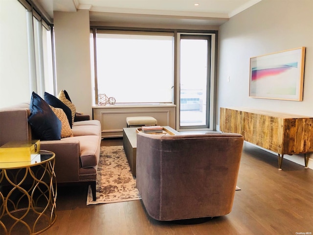 living room featuring wood-type flooring