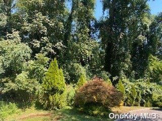 Lakeview Dr, Kings Park NY, 11754 land for sale