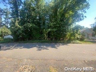 Listing photo 2 for Lakeview Dr, Kings Park NY 11754