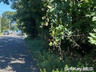 Listing photo 3 for Lakeview Dr, Kings Park NY 11754