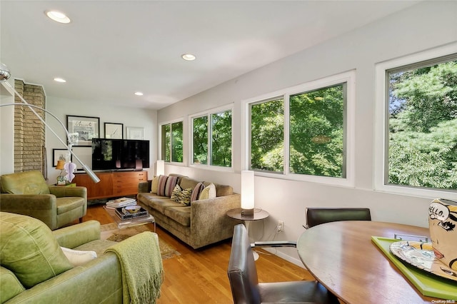 living room with light hardwood / wood-style floors