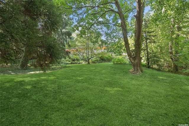 3 Pennington Dr, Huntington, NY 11743 - view of green lawn