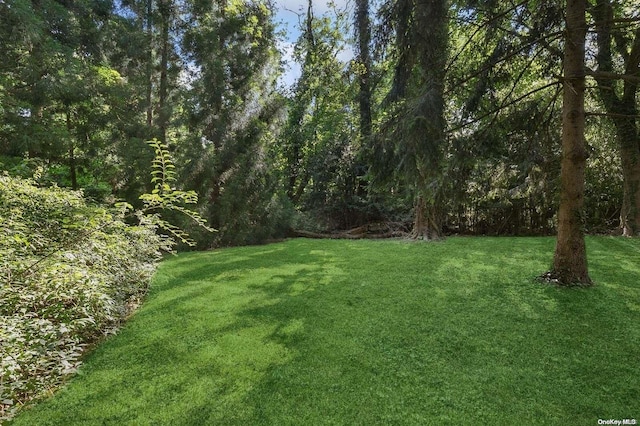 3 Pennington Dr, Huntington, NY 11743 - view of green lawn featuring a forest view