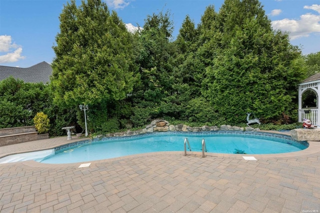 view of swimming pool with a patio area