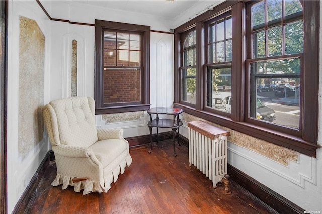 sitting room featuring crown molding, dark wood-type flooring, and radiator