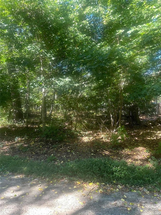 8 Shell Rd, Hampton Bays, NY 11946 - photo 2
