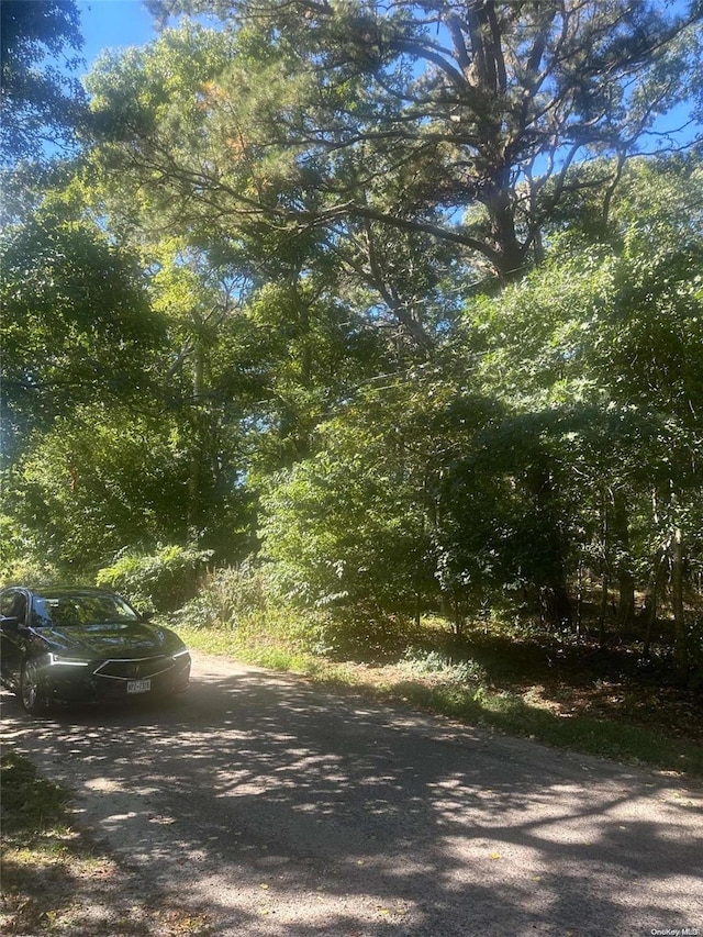 8 Shell Rd, Hampton Bays, NY 11946 - photo 3