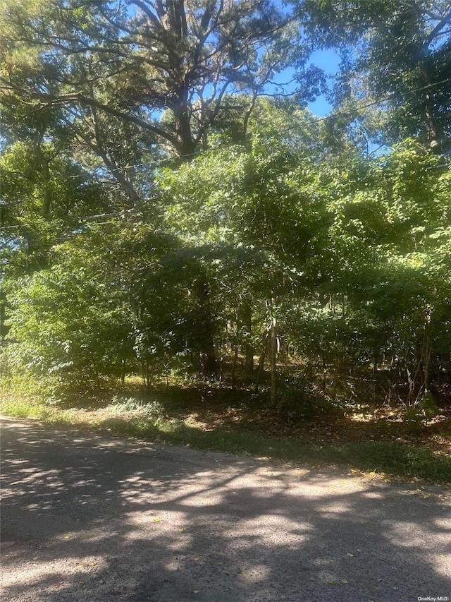 8 Shell Rd, Hampton Bays, NY 11946 - photo 4