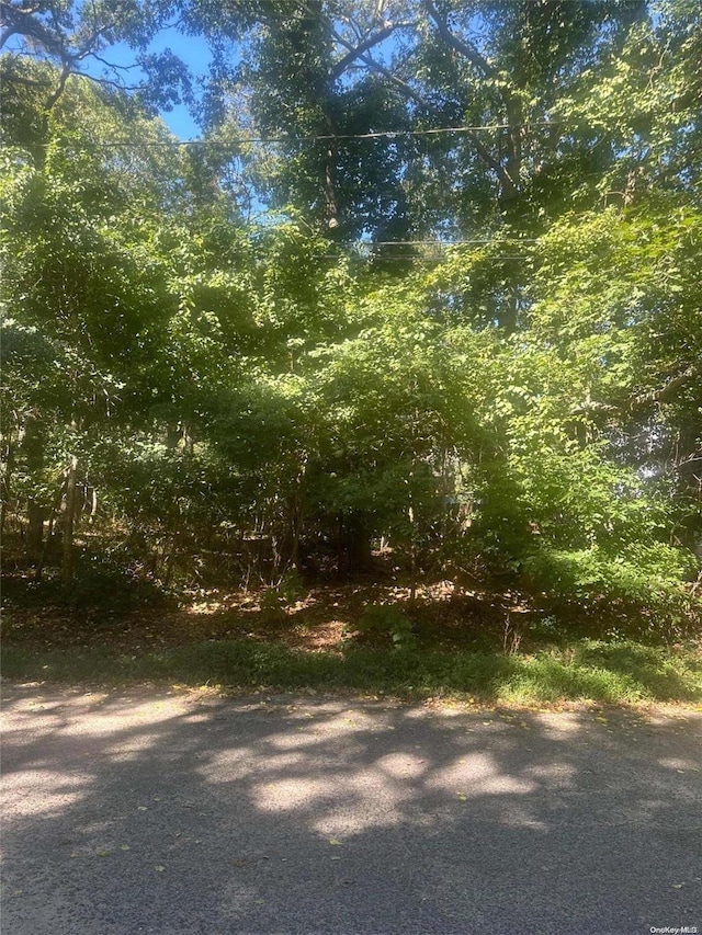 8 Shell Rd, Hampton Bays, NY 11946 - photo 5