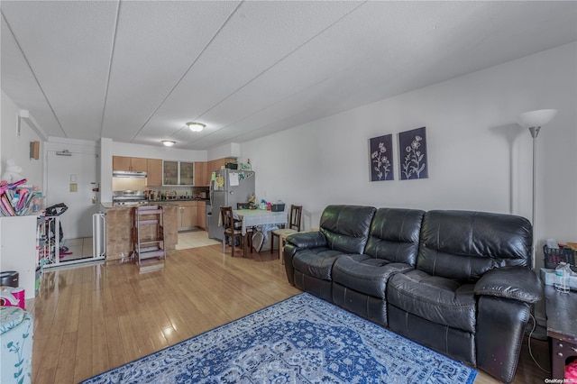 living room with light hardwood / wood-style floors and a textured ceiling