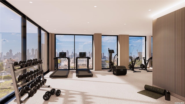 31-16 21st St Unit Ph2C, Astoria, NY 11106 - exercise room featuring a view of skyline, carpet floors, floor to ceiling windows, and healthy amount of natural light