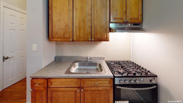 kitchen featuring backsplash, sink, wood-type flooring, and stainless steel range with gas stovetop