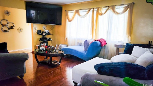 living room featuring hardwood / wood-style flooring