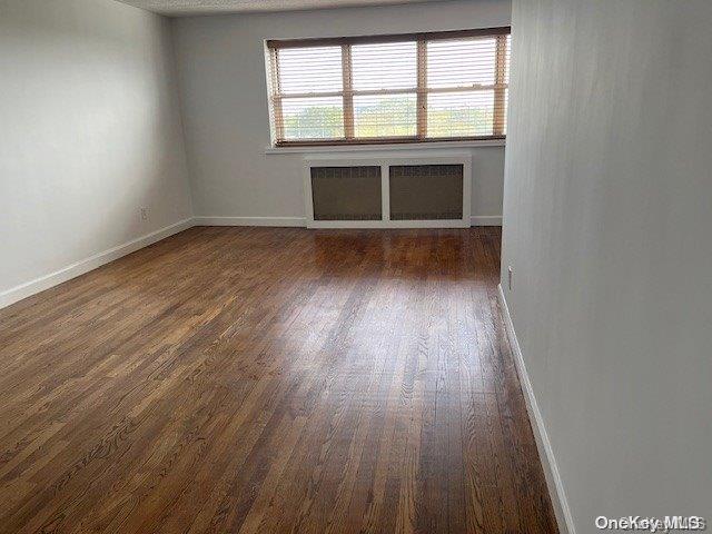 spare room with radiator heating unit, plenty of natural light, and dark wood-type flooring